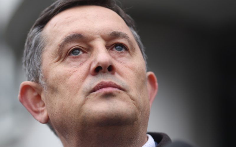 Piperea, despre tensiunile din AUR: „Strâmbări de nas” după alianța cu PSD