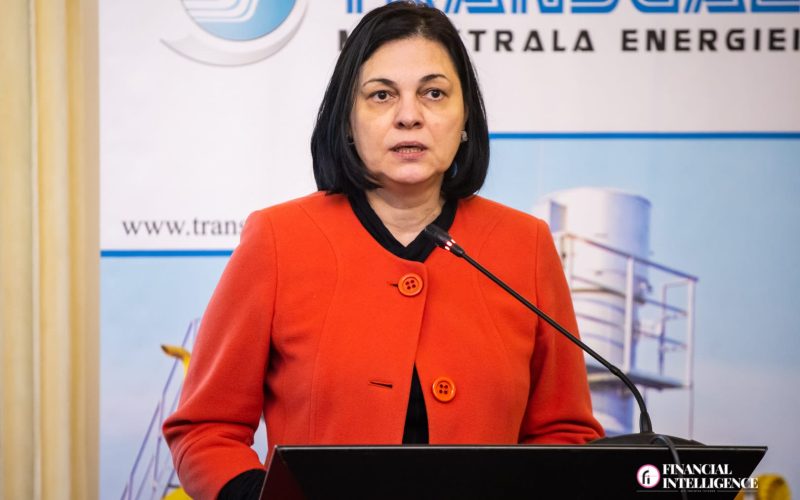 Mai verde, dar cu nuclear: Proiectul HENRO și viitorul energiei în România