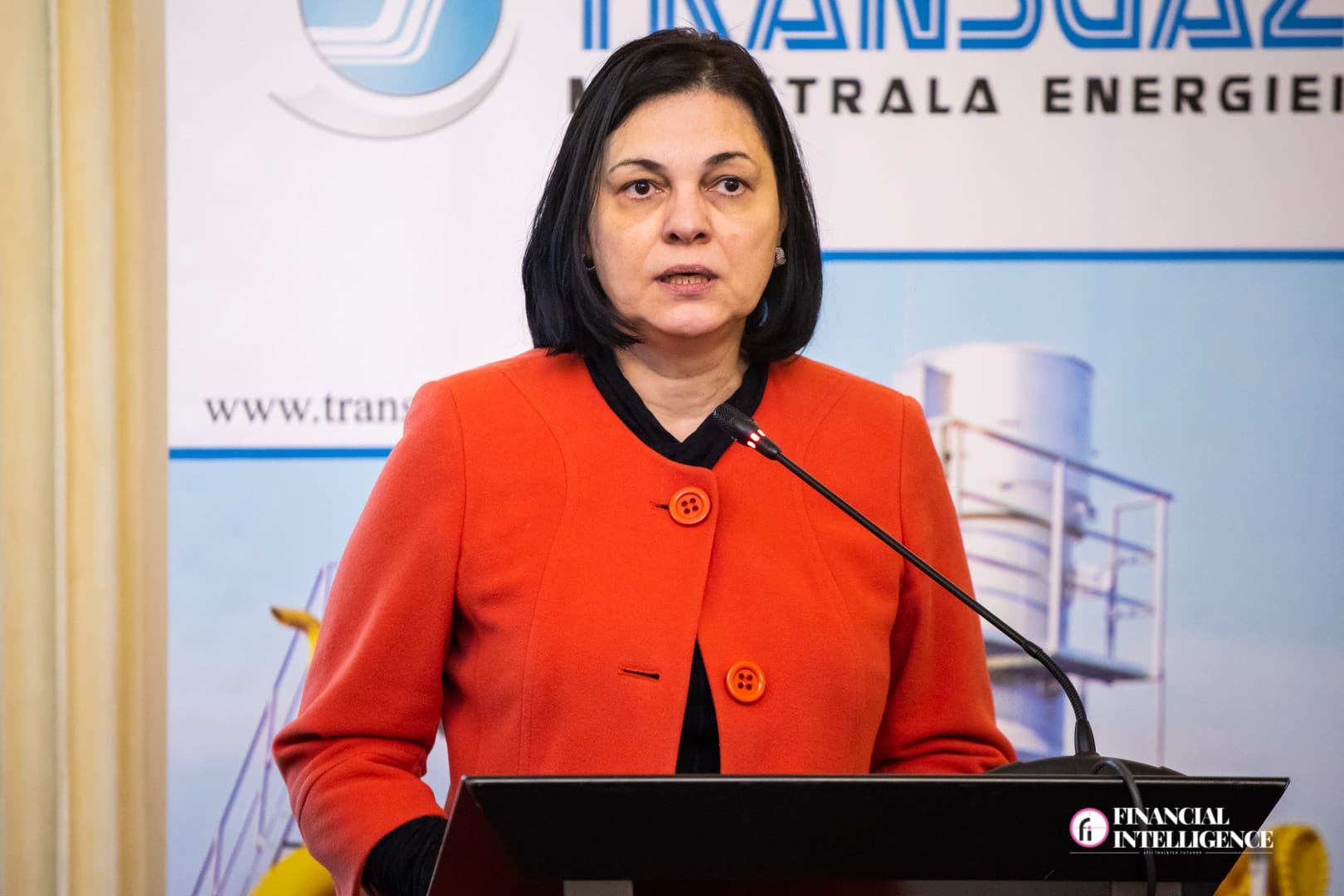 Mai verde, dar cu nuclear: Proiectul HENRO și viitorul energiei în România