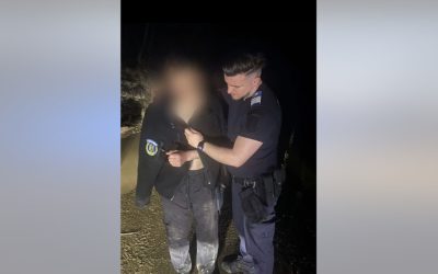 Tânăr, salvat de jandarmi: Ursul l-a fugărit, și-a abandonat motocicleta!