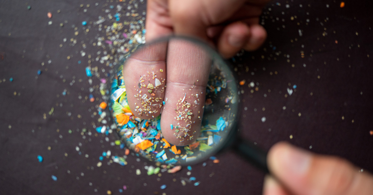 Microplasticul din natură: Cercetătorii dau de urmă „vinovatului” banal