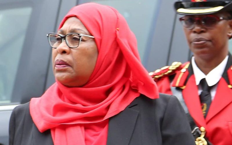 Local miners, investors in Tanzania set to take over mining rights as government revokes 40 exploration licences