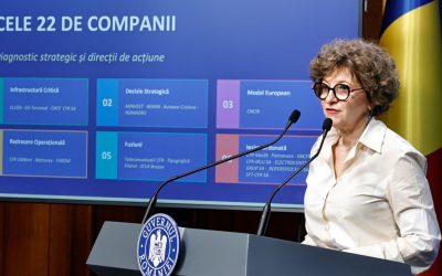 Oana Gheorghiu: „Hoții au furat o conductă, statul plătește în continuare”