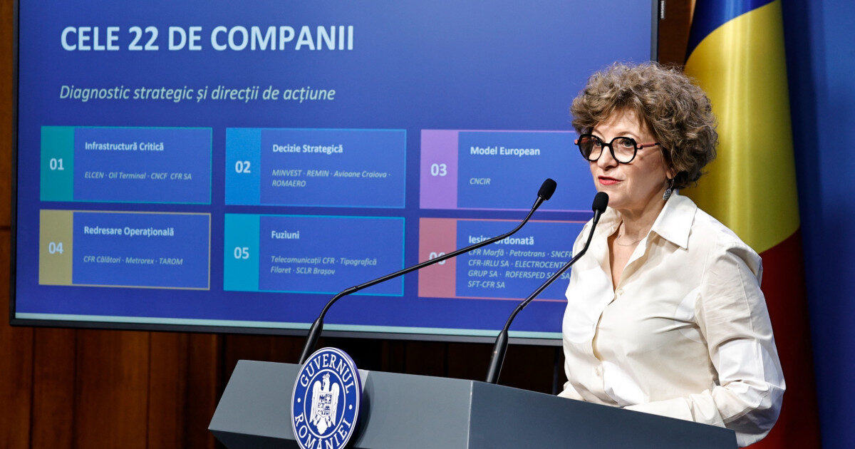Oana Gheorghiu: „Hoții au furat o conductă, statul plătește în continuare”