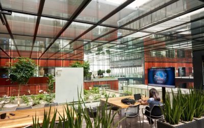 FDA din SUA dă undă verde pentru IQOS: Produs din tutun cu risc modificat