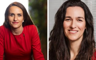 Oana Țoiu, dialog cu viitorul ministru de Externe maghiar: Schimbare de abordare