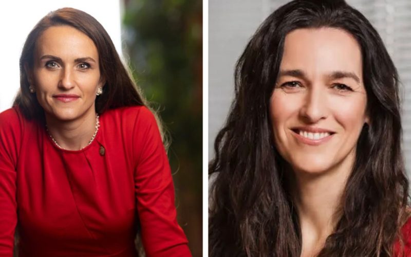 Oana Țoiu, dialog cu viitorul ministru de Externe maghiar: Schimbare de abordare