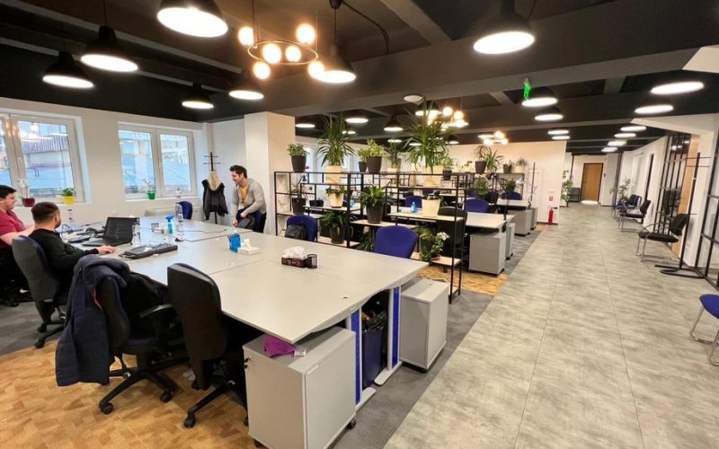 Pentalog România, în cădere liberă: Numărul angajaților, la minimul istoric