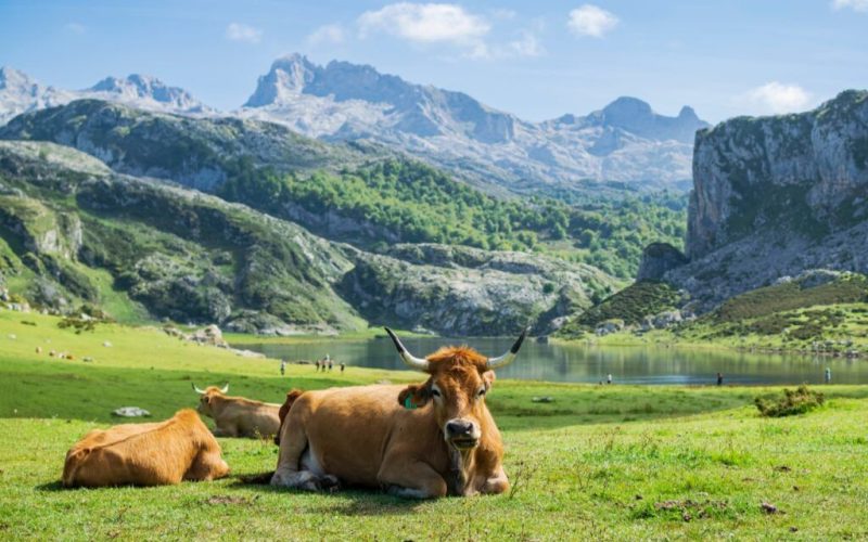 Locul din Europa, uitat de lume, desemnat cel mai frumos: Pare din povești!