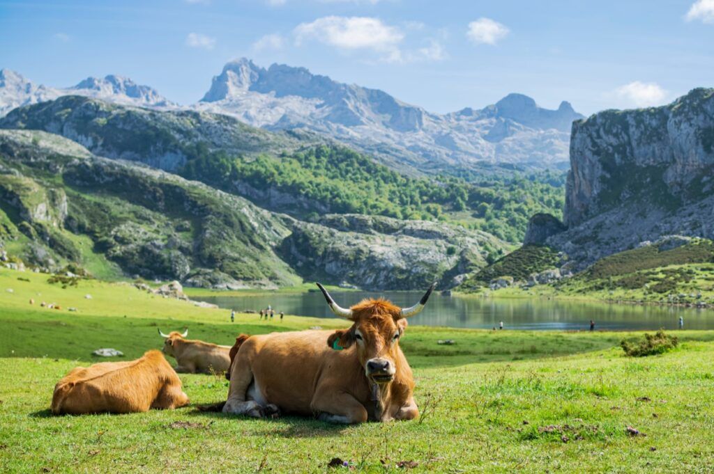 Locul din Europa, uitat de lume, desemnat cel mai frumos: Pare din povești!