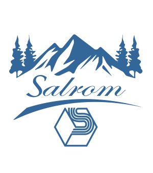 SALROM vrea 21,42 milioane euro de la Innovation Fund pentru un proiect de securitate