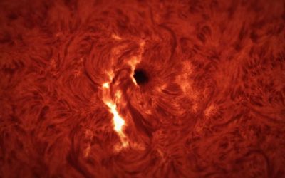 The 'Sound' of a Flare Erupting From The Sun Is an Unnerving Horror : ScienceAlert