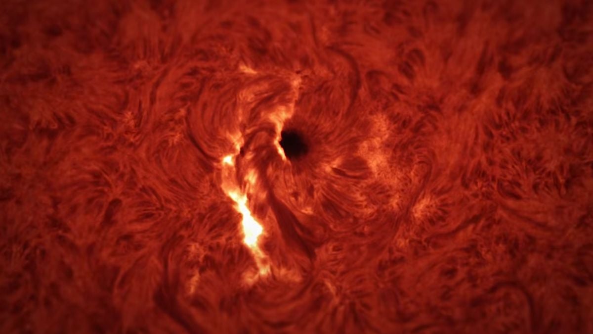 The 'Sound' of a Flare Erupting From The Sun Is an Unnerving Horror : ScienceAlert