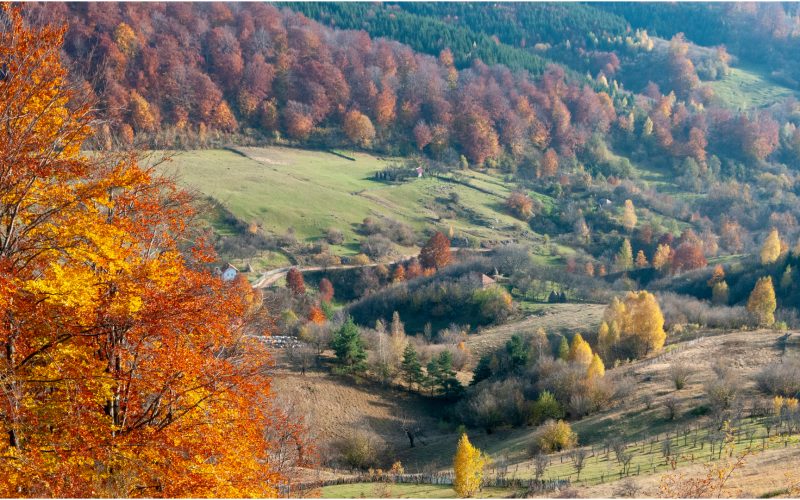 Geoparcurile UNESCO, mai ușor de accesat în România: Guvernul schimbă regulile