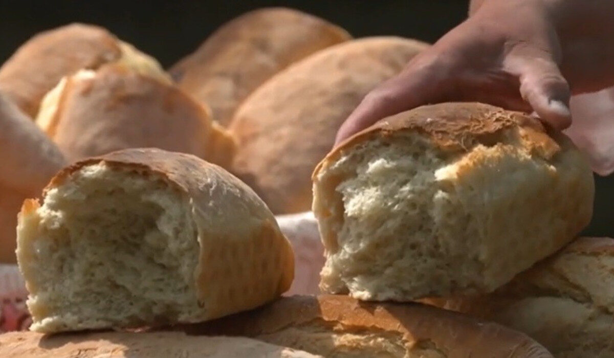 Banatul, Regiune Gastronomică Europeană în 2028: Ce surprize ne așteaptă?