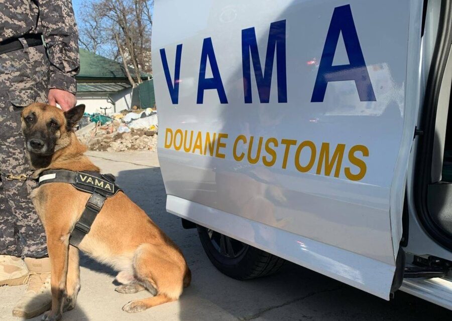 Vama, pe urmele afaceriștilor: Controale-fulger la importul de alimente