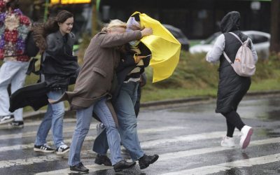 Vânt puternic în mai multe zone. Cum va fi vremea în București. Anunț de ultimă oră al meteorologilor