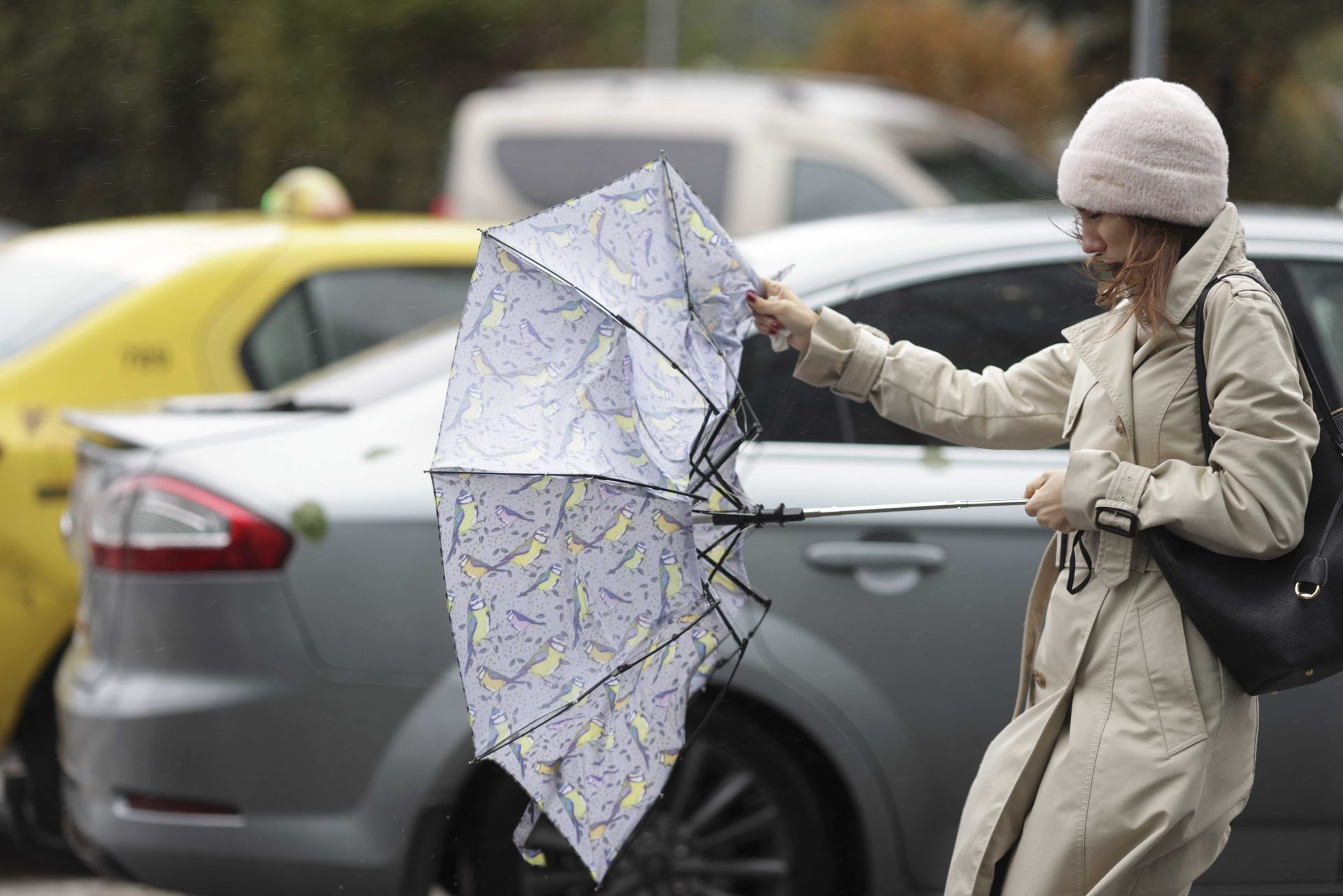 Vremea se răcește puternic până la finalul săptămânii. Alerte cod portocaliu de viscol și galben de vânt, emise de ANM