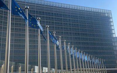 Google, obligat de Comisia Europeană să divulge datele motorului de căutare