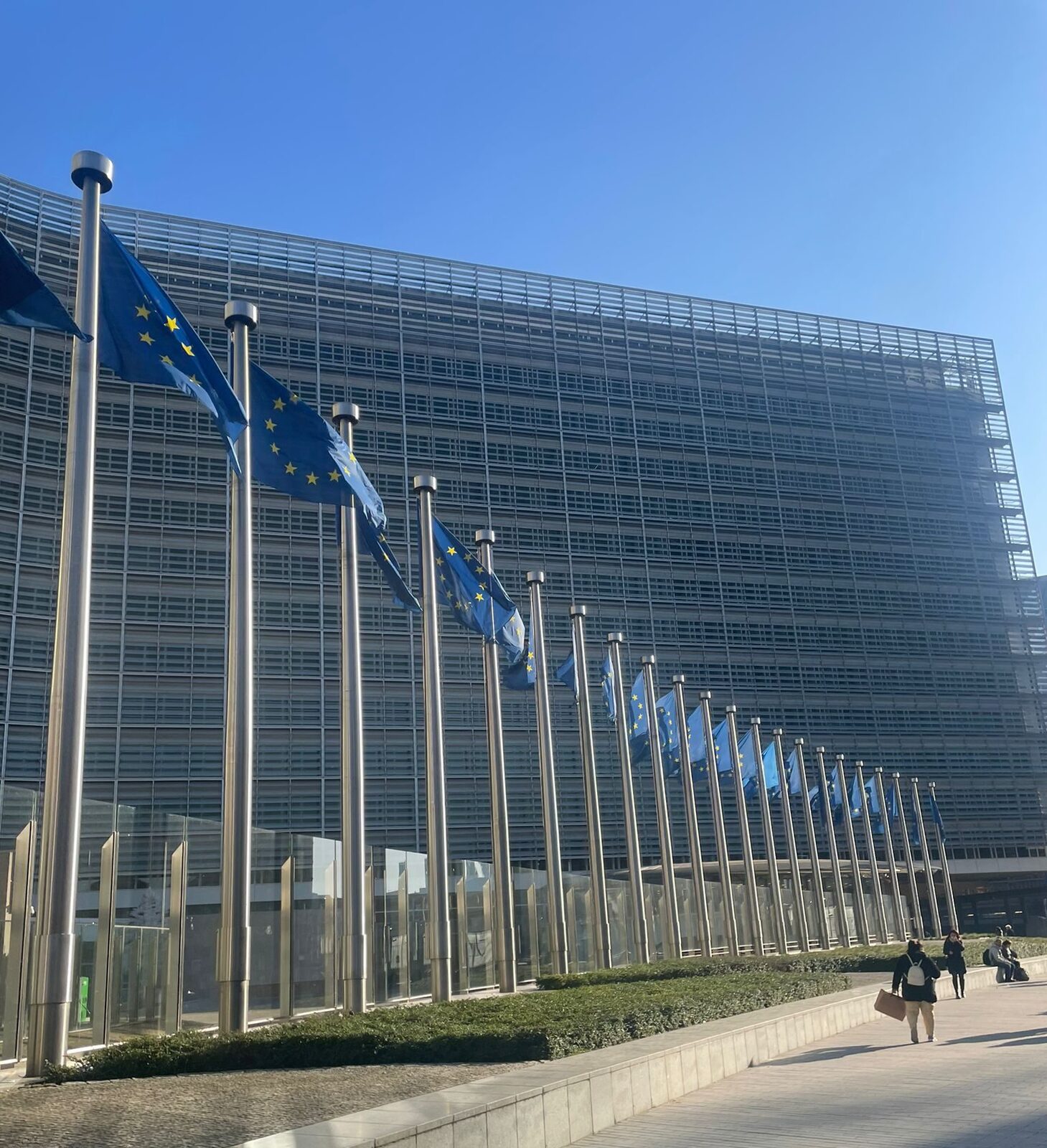 Google, obligat de Comisia Europeană să divulge datele motorului de căutare