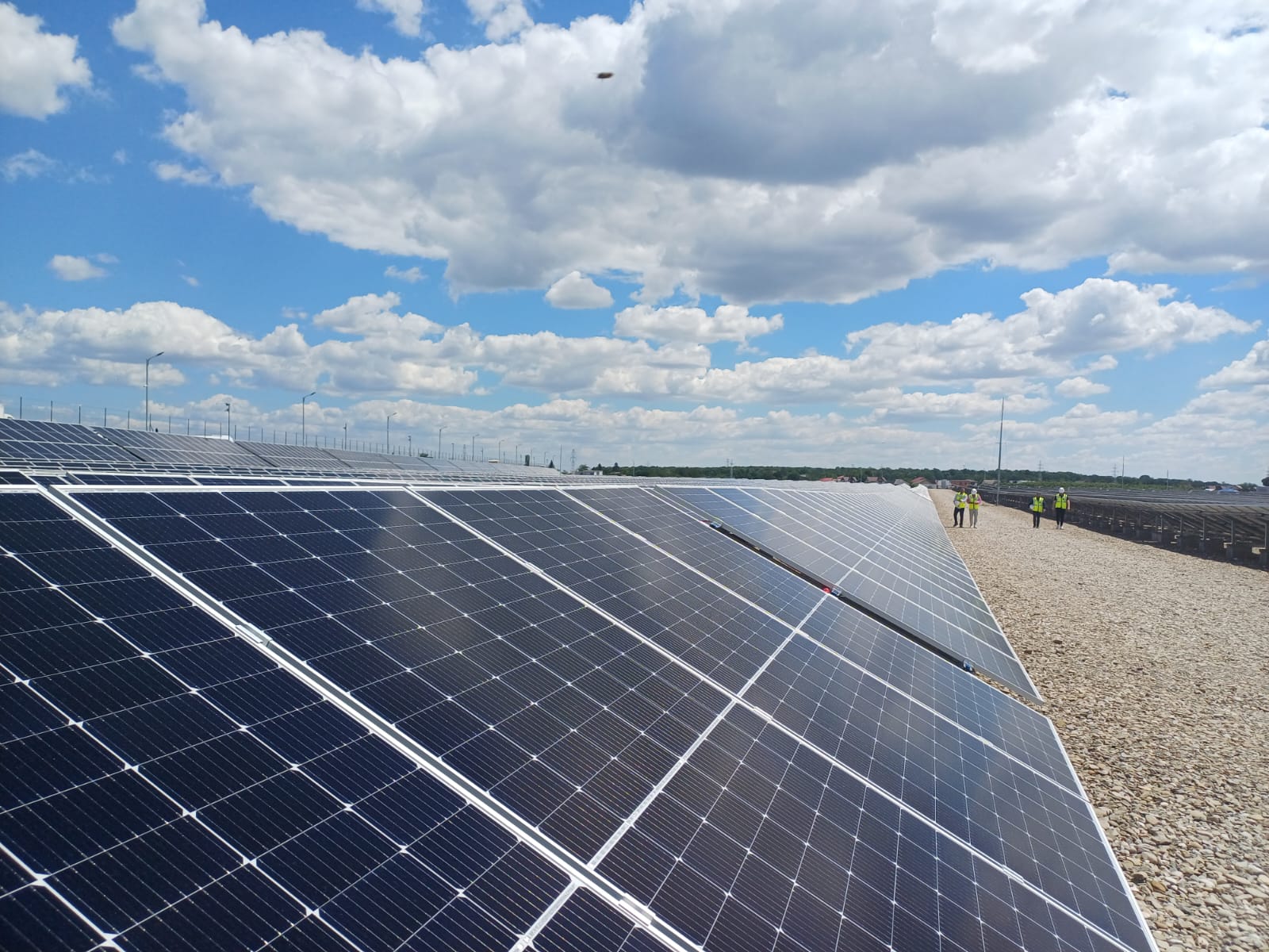 Băieții deștepți din energie vând parcuri solare pe OLX. Autoritățile, pe urmele speculanților