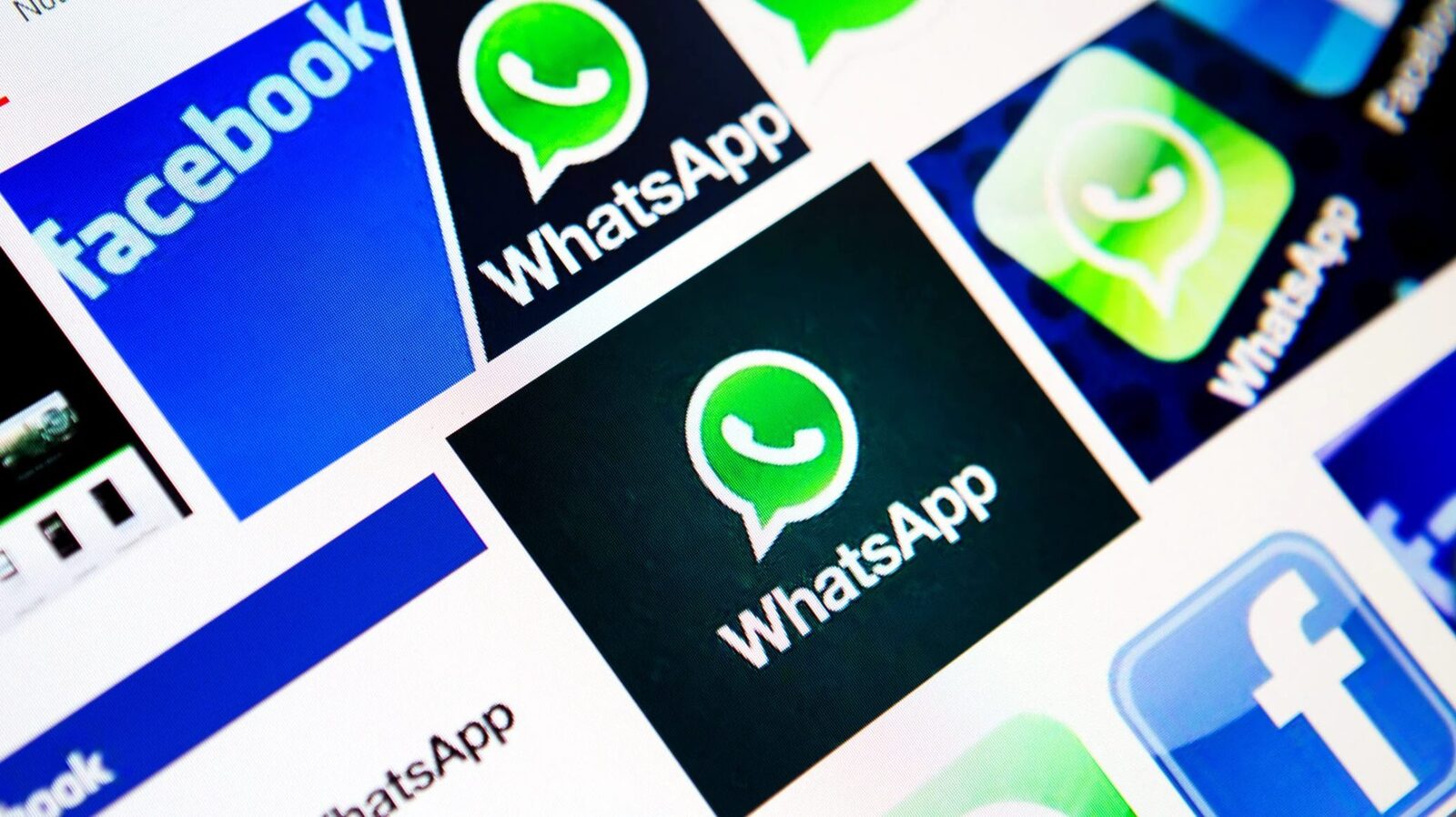 WhatsApp revoluționează: Mesaje fără număr, doar cu username!