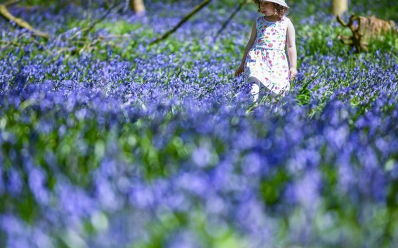 Vremea se schimbă: Când revin temperaturile de vară în România