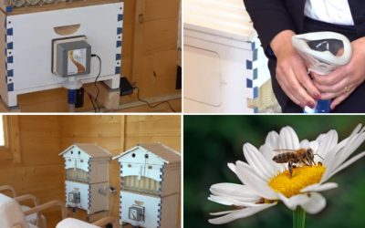 Aerul din stup, secretul vindecării: Apiterapie în România, un nou trend