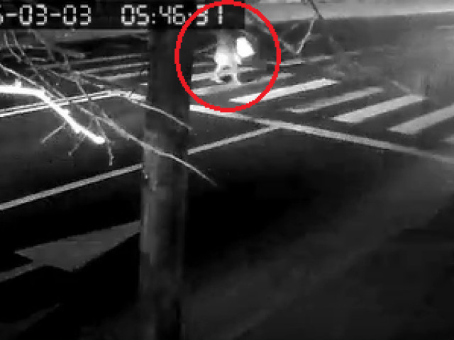 Femeia lovită de keita a murit la floreasca: Era internată de o lună