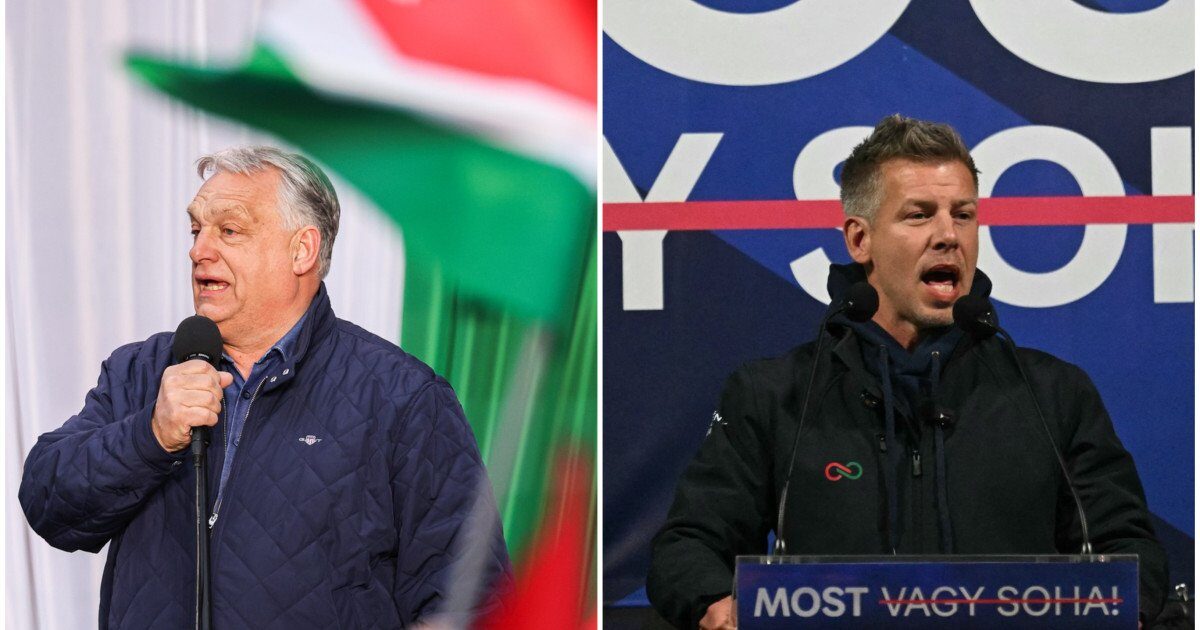 Orban, pe muchie de cuțit? Magyar, amenințare la alegerile din Ungaria