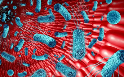 Intestinul, „al doilea creier”: Cum afectează microbiomul memoria și sănătatea