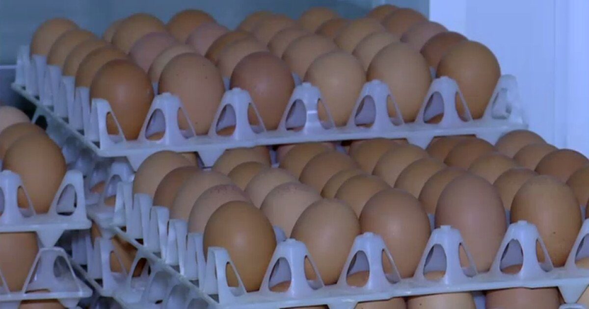 Ouă cu Salmonella pe piață: Retragere masivă înainte de Sărbători!