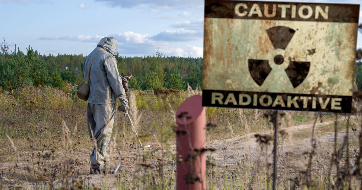 Ciuperca mutanta de la Cernobîl sfidează știința: Trăiește din radiații