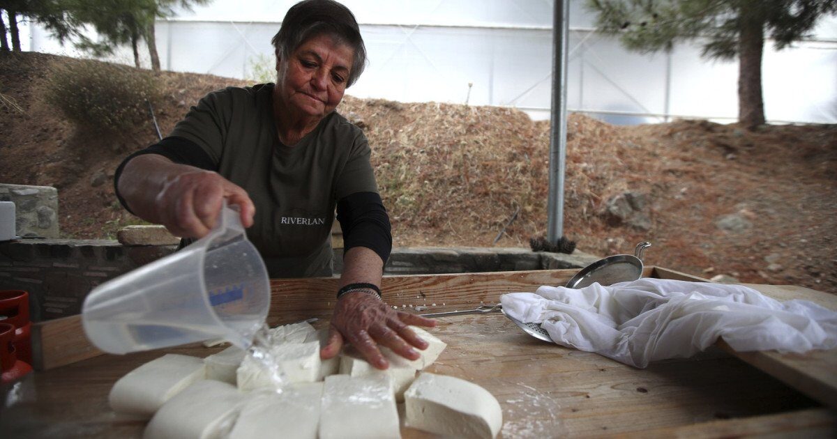 Halloumi în pericol: Fermierii ciprioți, loviți de epidemie. Nordul turc are cheia