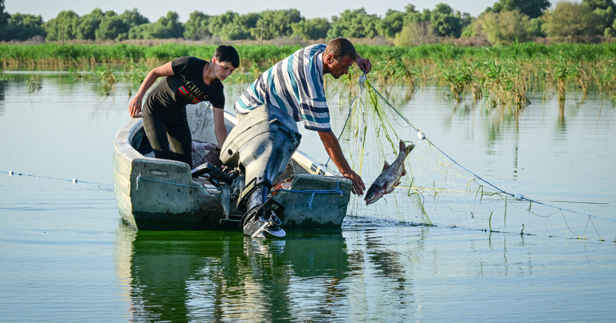Pescarii din delta scumpesc peștele: „trebuie să acoperim pierderile”