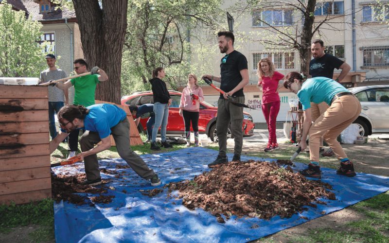 Bucureșteni fac îngrășământ din deșeuri: Grădini fertile cu rumeguș și legume