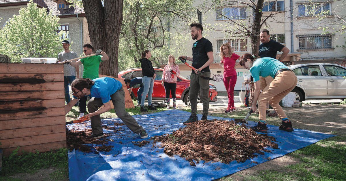 Bucureșteni fac îngrășământ din deșeuri: Grădini fertile cu rumeguș și legume