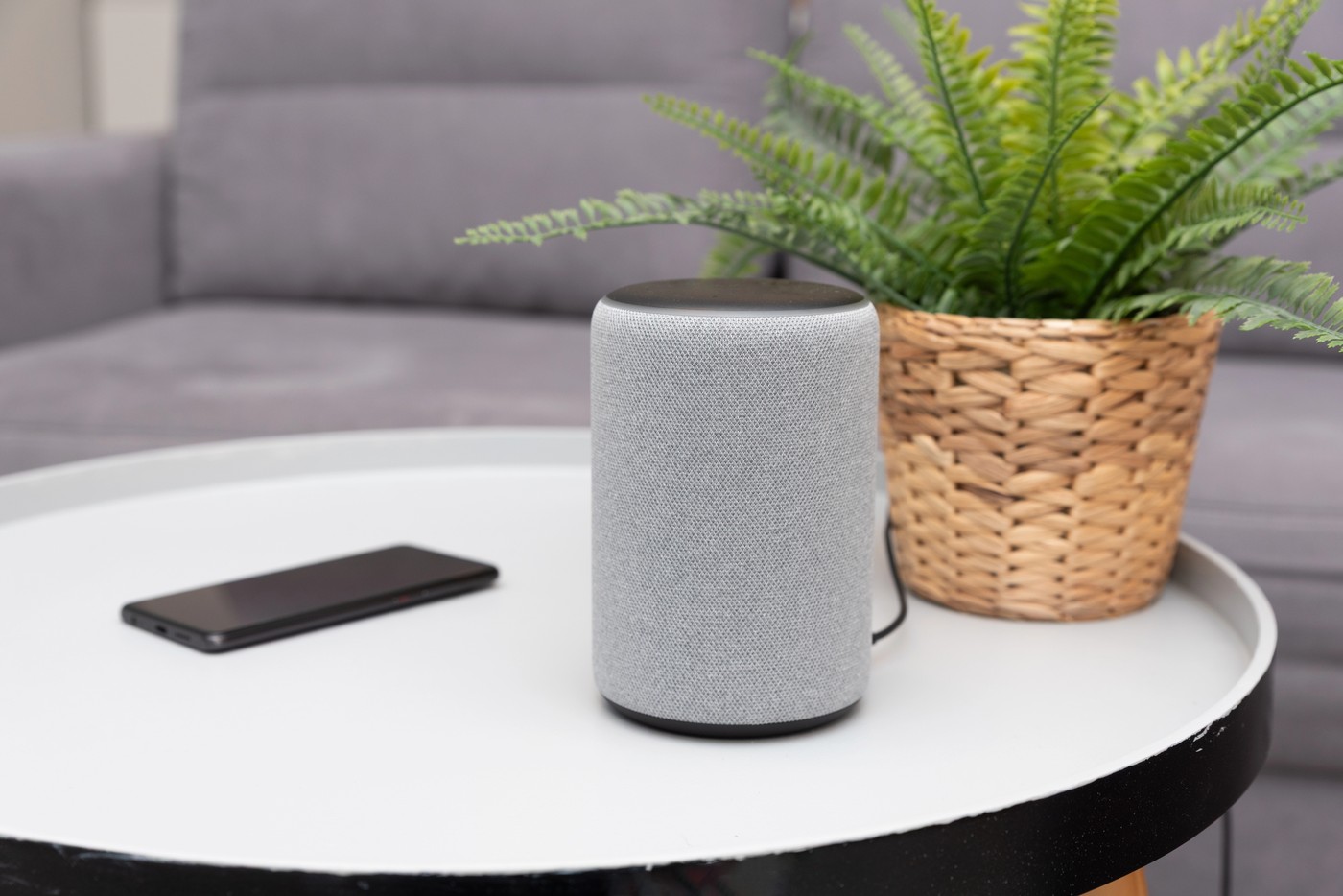 Ai creierul casei tale la mila inteligenței artificiale: Pericolul ignorat