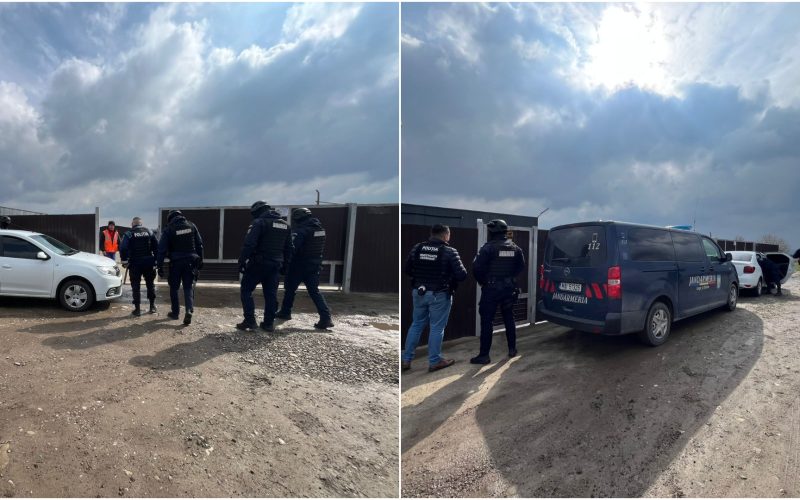 Percheziții într-un dosar de eutanasiere ilegală la un adăpost de câini din Suceava Joi, au avut loc percheziții la locuința primarului comunei Berchișești, Violeta Țăran, și la adăpostul de câini gestionat de fiul acesteia, Cătălin Țăran