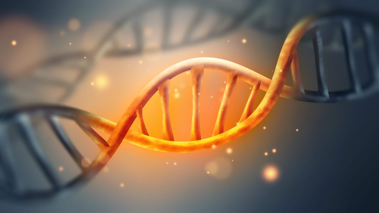 Unde să căutăm secretele codului genetic, după modelul lui Donald Trump?