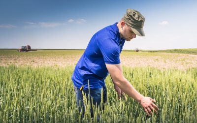 Criza îngrășămintelor lovește: Fermierii cer ajutor urgent la Bruxelles