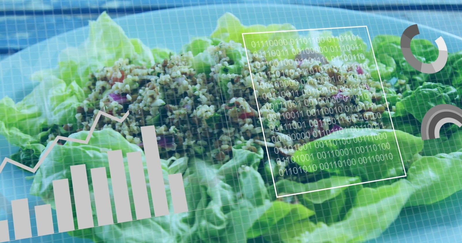 Cum să mâncăm sănătos la orice vârstă: Ghidul nutrițional complet