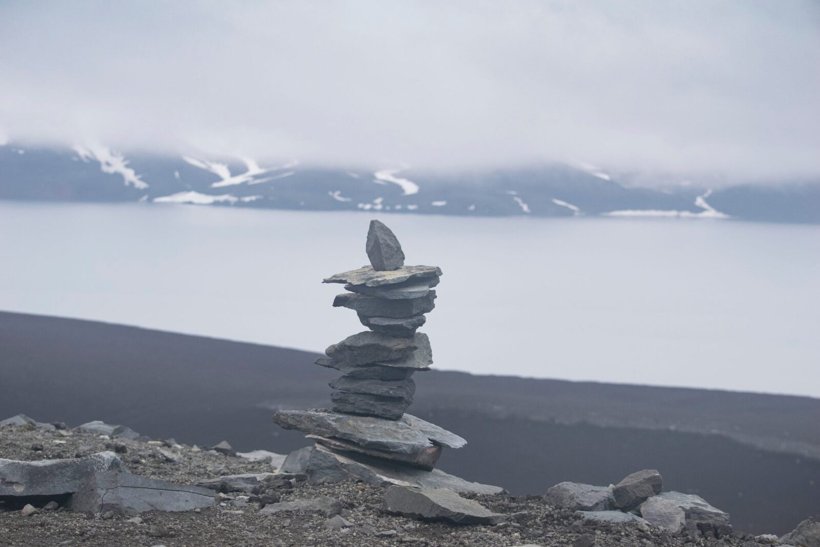 Cercetătorii chinezi au descoperit o linie genetică umană misterioasă, provenind din nordul Asiei de Est, care a supraviețuit ultimei ere glaciare și s-a adaptat la un climat mai cald