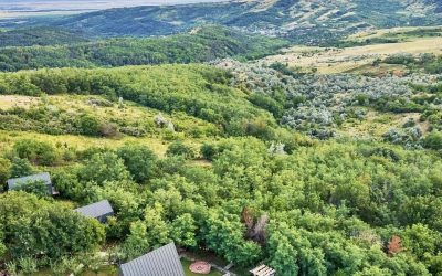 Arta Chalet: Cum a prins viață un refugiu de lux în Dealu Mare, România