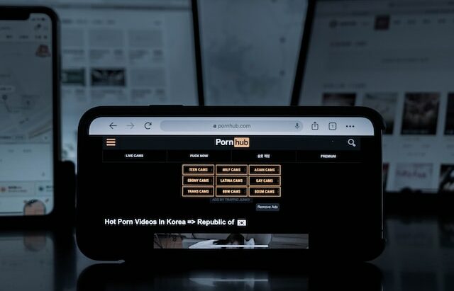 Marea Britanie: Pornografia cu rude vitrege, interzisă. Ce măsuri radicale se impun