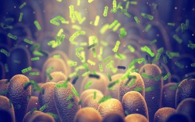 Bacterie ucigașă: Oamenii de știință au creat arma anti-cancer