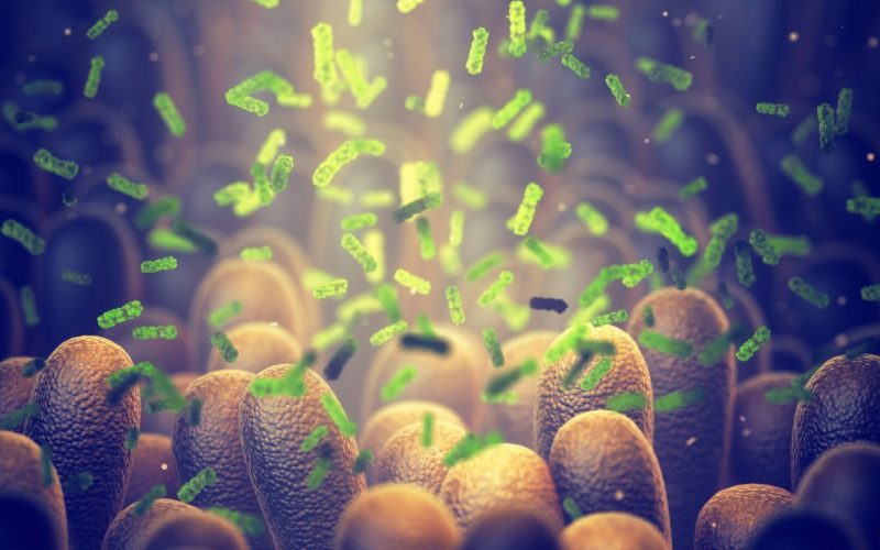 Bacterie ucigașă: Oamenii de știință au creat arma anti-cancer