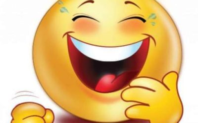 Ursul și vulpea, prietenie neașteptată în pădure: Bancul zilei!