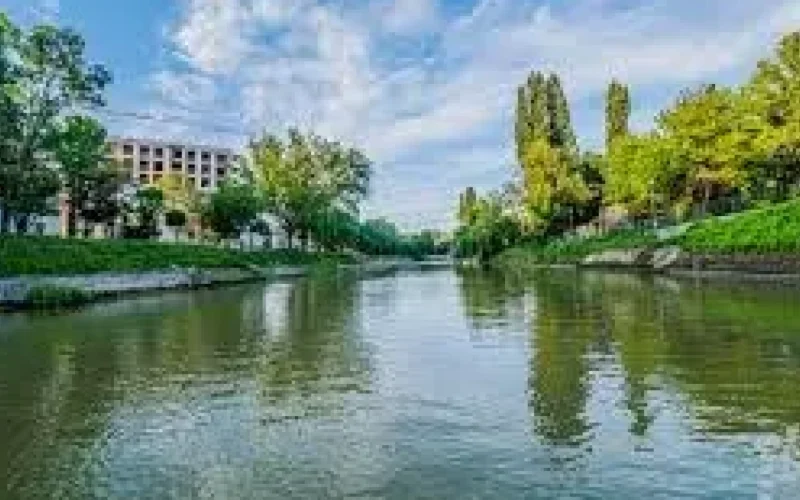 Bega, oglinda Timișoarei: Un proiect artistic surprinde relația oraș-natură