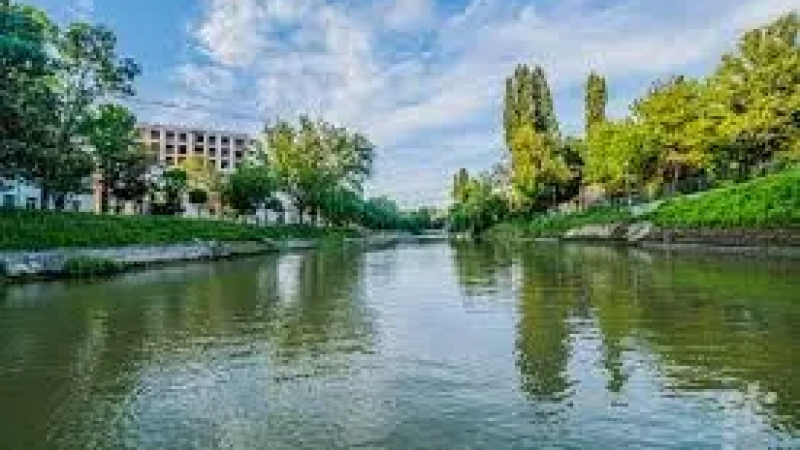 Bega, oglinda Timișoarei: Un proiect artistic surprinde relația oraș-natură